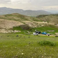 چوپان کار بلد حقوق توافقی از ماهی ۱۵ تا ۲۵ میلیون