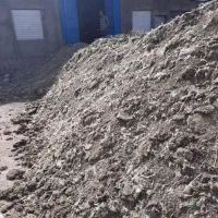بهبهان کود درجه یک