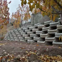 گلدان بتنی گلفوژ