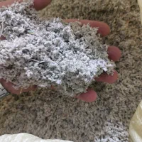 کلپوره عمده