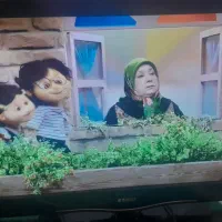 تلوزیون ۲۴ اینچ ال ای دی دیجیتال سر خود صنام