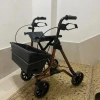 واکر ویلچر حرفه ای آلمانی مارک TAIMA) DAIETZ)