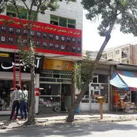جذب مدرس ادبیات( خانم)
