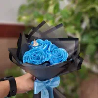 شقایق