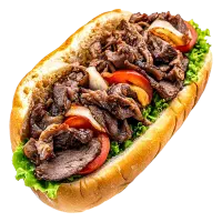استخدام نیرو