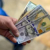ترید آنلاین  و روانشناسی معامله گری