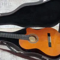 ساز حرفه ای