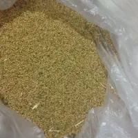 بذر ینجه گلیل