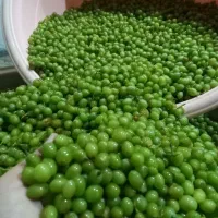 ابغوره و غوره