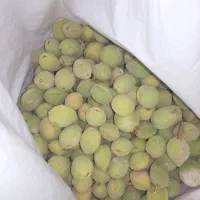 بادام