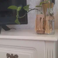 پتوس شیشه ای ۳۰
