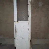 در حال دری عمو