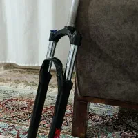 دو شاخ و دوچرخه الکس