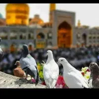 تور مشهد با قطار//