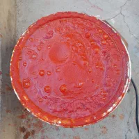 رب خانگی تازه