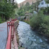 تور یک روزه مدیتیشن و یوگا
