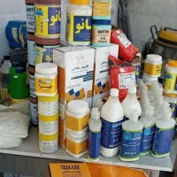 کارشناسی رفع نم