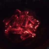 فروش عمده ذغال کبابی (فشرده خاک ذغالی )