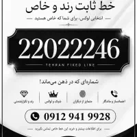 خط ثابت