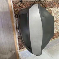 تلویزیون برای باغ