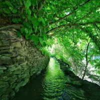 تور یه روزه شاد