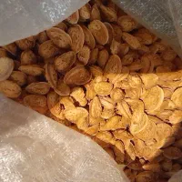 بادام کاغذی و سنگی