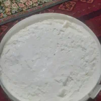 کره گوسفندی