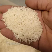 برنج تارم بینام بدون قاطی