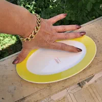 سرویس چینی زرین