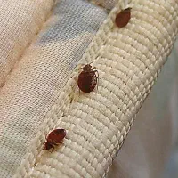 سمپاشی تخصصی