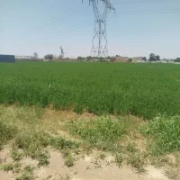 3000-متر-زمین-فروشی-در-رباط-کریم