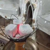 ذغال حبه (پسته)  ..