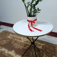 میز گرد (میزخاطره)