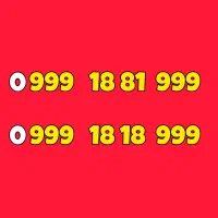 0999-18-18-999