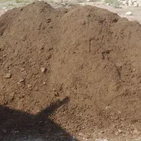 کود بز