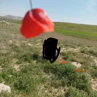 کوره-آهک-پزی