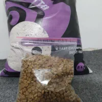 غذا خشک و خاک گربه