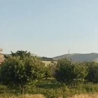 باغ،باغچه،زمین بَر جاده ارومیه - قره آغاج