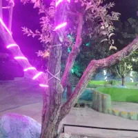 نیروی کار برای کافه باغ