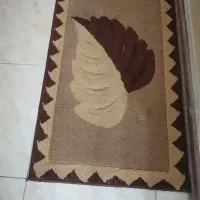 ۴ عدد پادری کاملا هم اندازه و کاملاً سالم