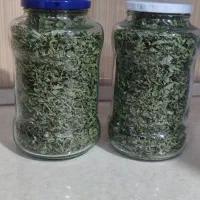 جاتره ،آویشن کوهی