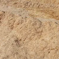 بیست تن کاه گندم مرودشت یکجا