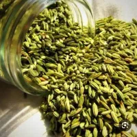 فروش زیره سبز دیمی