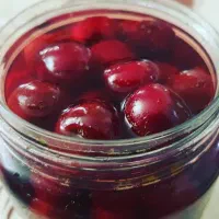 ترشی آلبالو