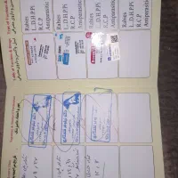 حیوانات|سگ|مسجد سلیمان, |دیوار