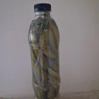 خیار شور خانگی