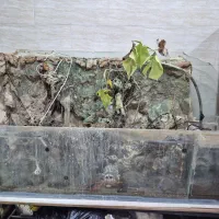 آکواریوم ماهی با پمپ
