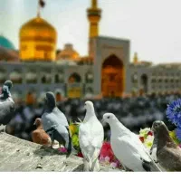 کربلا ۶۲۰۰
