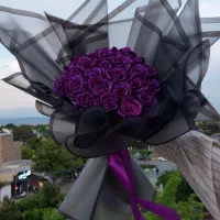 25شاخه رز فول شاین بنفش خاص