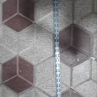 رگال